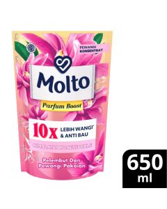 Molto Perf Boost Himalayan 12x650ml